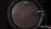 Even though it is a little murky, you should still be able to get a decent shot off.