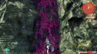 You’ll need to finish Valdi’s Hero Quest to learn how to climb