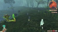 Head to the bottom of the great tree to reach Low Maktha Wildwood