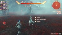This is your only chance to fight this Unique Enemy until later in the story