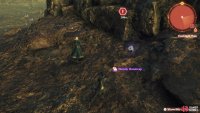 Look for the gears-like icon when picking up the Collectables