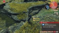 You’ll need to jump down to here from the eastern hill