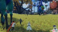 Torto and Shiner will be training in the middle of the open area