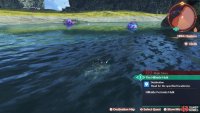 The things in the water may look harmless