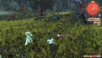 The Secret Turf can be found in the northern portions of Melnath’s Shoulder