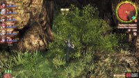 There will be a small cave with the Relic behind the bushes