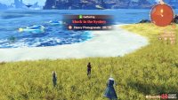Heavy Pomegranates are more annoying to find. We farmed them at Twinpalm Isle.