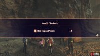 Chat to the Nopon to obtain a pebble.