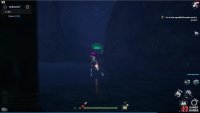 The second C-03 Ruin chest is found in a little caver near the waterfall. 