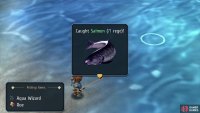 and Salmon.
