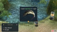At the Ursula Road - Pond fishing spot, use Kasagin as bait to snag Viperheads,