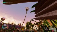 Look out for the dandelion puffs 