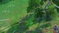 There’s plenty of Applin in this area. They’re walking in the tall grass and can also fall out of trees like this one.