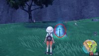 the blue stake sits near a rock close to the tree.