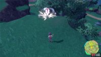 Initiating a wild Pokémon battle. (Credit: Serebii)