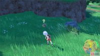 You can battle wild Pok&eacute;mon by touching them or throwing a Pok&eacute;mon at them. (Credit: Serebii)