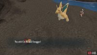 Swagger makes your Pokémon hurt themselves a lot when confused.