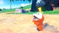 Fuecoco the friend-shaped Fire starter. (Credit: The Pokémon Company)