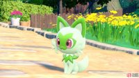 Sprigatito is the glorious Grass starter. (Credit: The Pokémon Company)