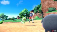 You can have a Pokémon follow you while exploring. (Credit: The Pokémon Company)