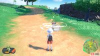 In addition, they can auto-battle wild Pokémon that are nearby. (Credit: The Pokémon Company)