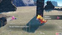 Tinkatink live near ruins.