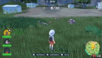 Your opponents are all Poison type, but some have secondary types.