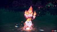 It changes Pokémon into a jewel-like form. (Credit: The Pokémon Company)