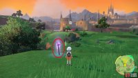where you will find the second purple stake on the plateau facing Mesagoza.