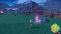 head up the spiral slope to find a purple stake at the top.