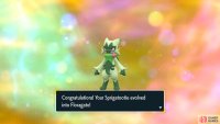 Sprigatito evolves into Florgato at Level 16
