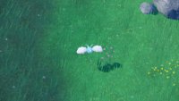 Swablu can be found before Research Station  No.3 and 4 above ground in Area Zero.