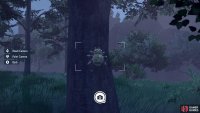 Some Pokemon, like Spinarak, are easy to snap photos of.