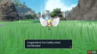 Level up Cutiefly one level to evolve into Ribombee
