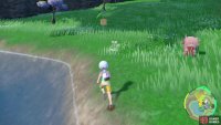 Again, make sure to search slowly in order to not miss a wild Ribombee.