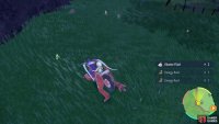 Sewaddle is hard to spot in tall grass, so take care.
