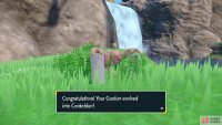 Gurdurr will evolve into Conkeldurr when the trade has finished.
