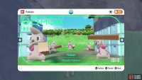 Timburr Pokédex Image