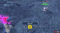 Use a Quick Ball to easily catch Duskull.