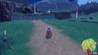 Team Star are blocking your path 