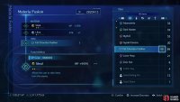 so you&rsquo;ll need to use unleveled, low-tier materia and fusion items if you want to add stats.