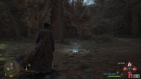 The first !Hogwarts Valley Ancient Magic Hotspot