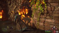 then burn away the leaves here for the second