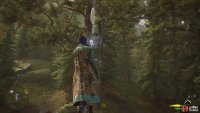 Fly up to the nearby essence