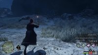 Head over to the butterflies and use lumos to attract them