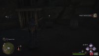 to find the Collection Chest sitting next to a cage.