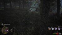 try getting really close by using the disillusionment charm. 