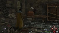 to find the Collection Chest in the dungeon.