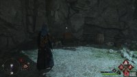 to find the Collection Chest sitting behind a wall of webs.