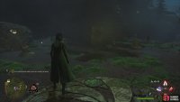 and use the !Lumos to bring butterflies to the pillars.